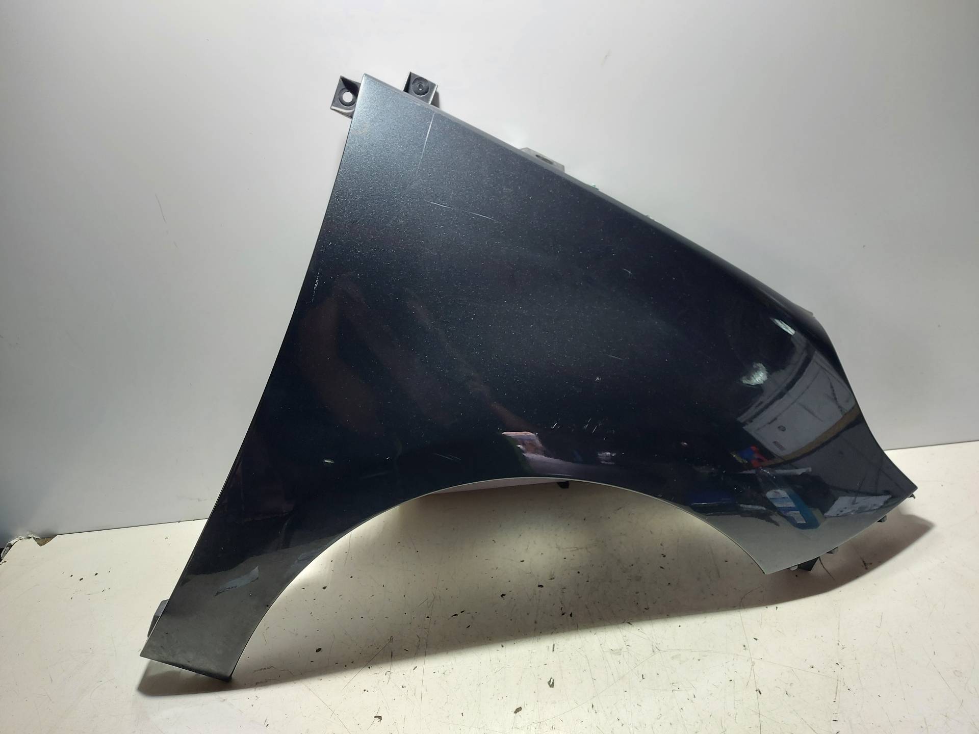 BMW Scenic 3 generation (2009-2015) Front Right Fender 25351619