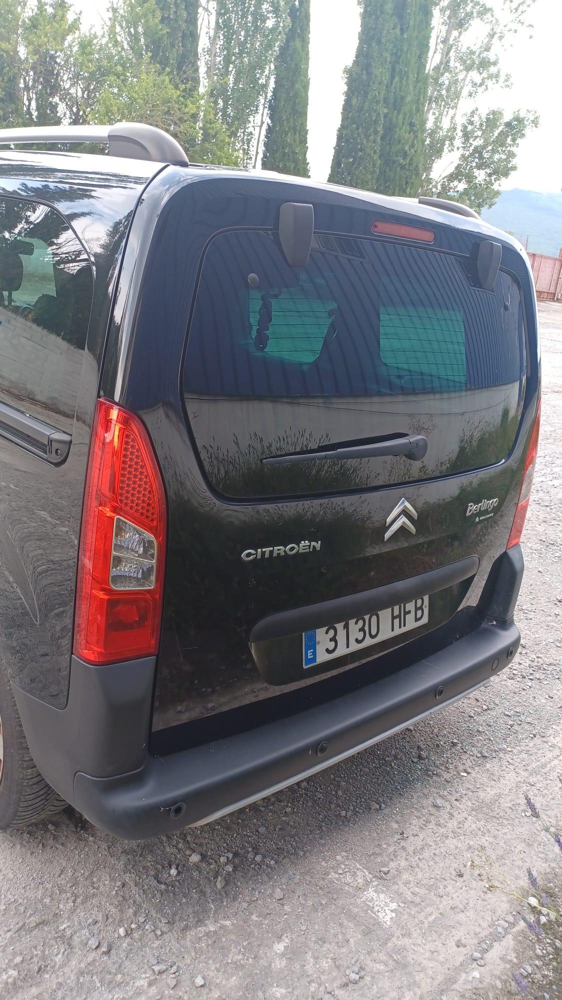 CITROËN Berlingo 2 generation (2008-2023) Priekšējās labās durvis 9004Z6 20691387