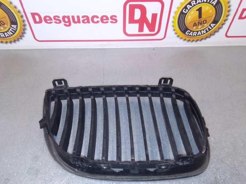 BMW 1 Series F20/F21 (2011-2020) Radiator Grille L511370771299+ 19990825