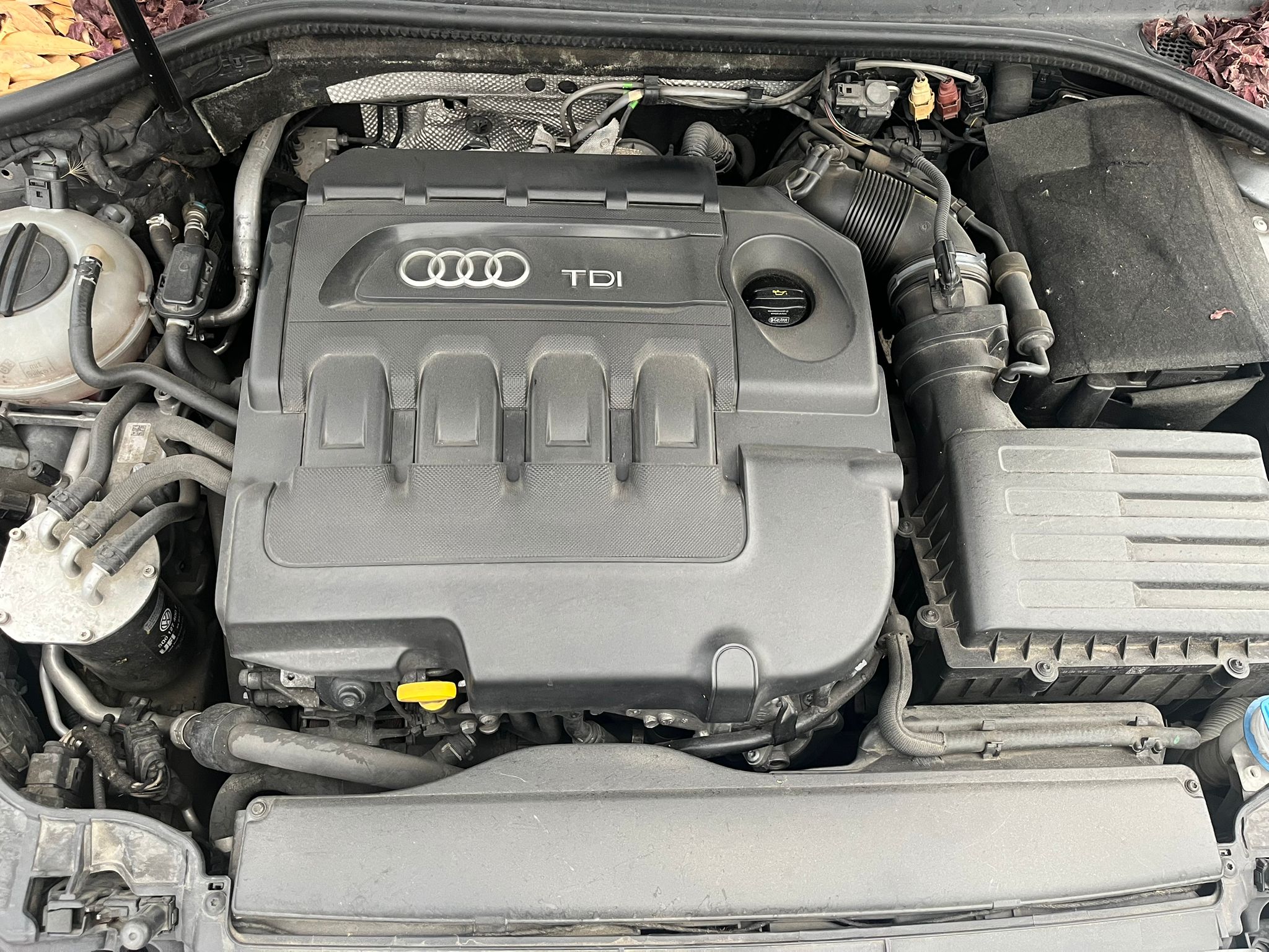 AUDI A3 8V (2012-2020) Vasen taka sisäinen avauskahva 8V4839019A+ 22824249