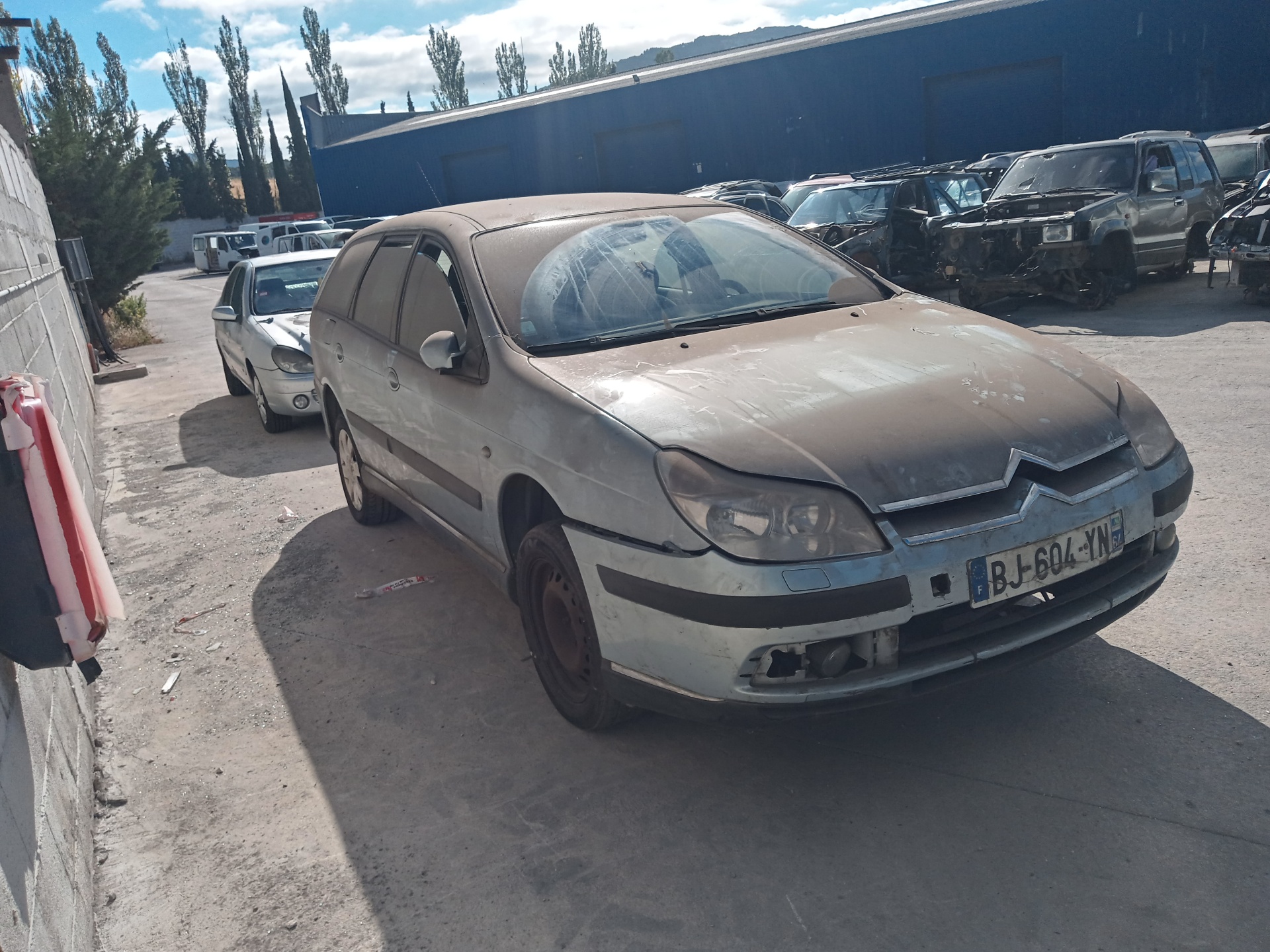 CITROËN C5 1 generation (2001-2008) Front Left Door 9002P1+ 20401403