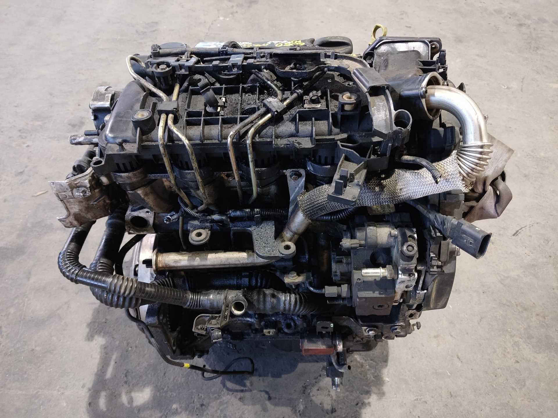 FORD Focus 2 generation (2004-2011) Двигатель G8DA, PALET115, FILA4 24914731
