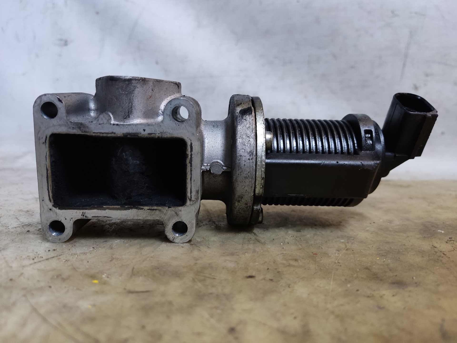 OPEL Vectra C (2002-2005) EGR Valve 55215031 24898271