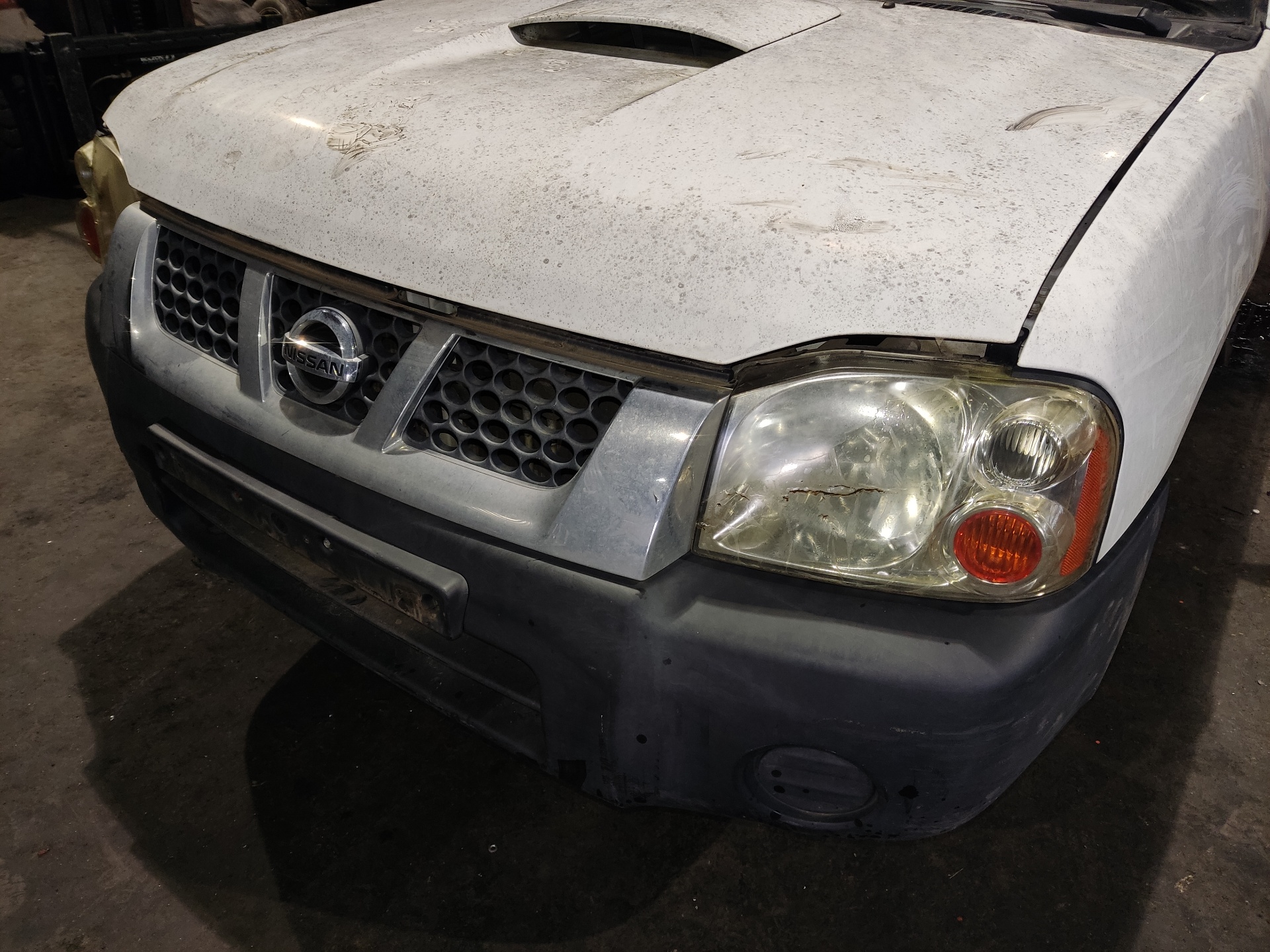 NISSAN Navara D22 (1997-2005) Решетка радиатора 62310 24896919