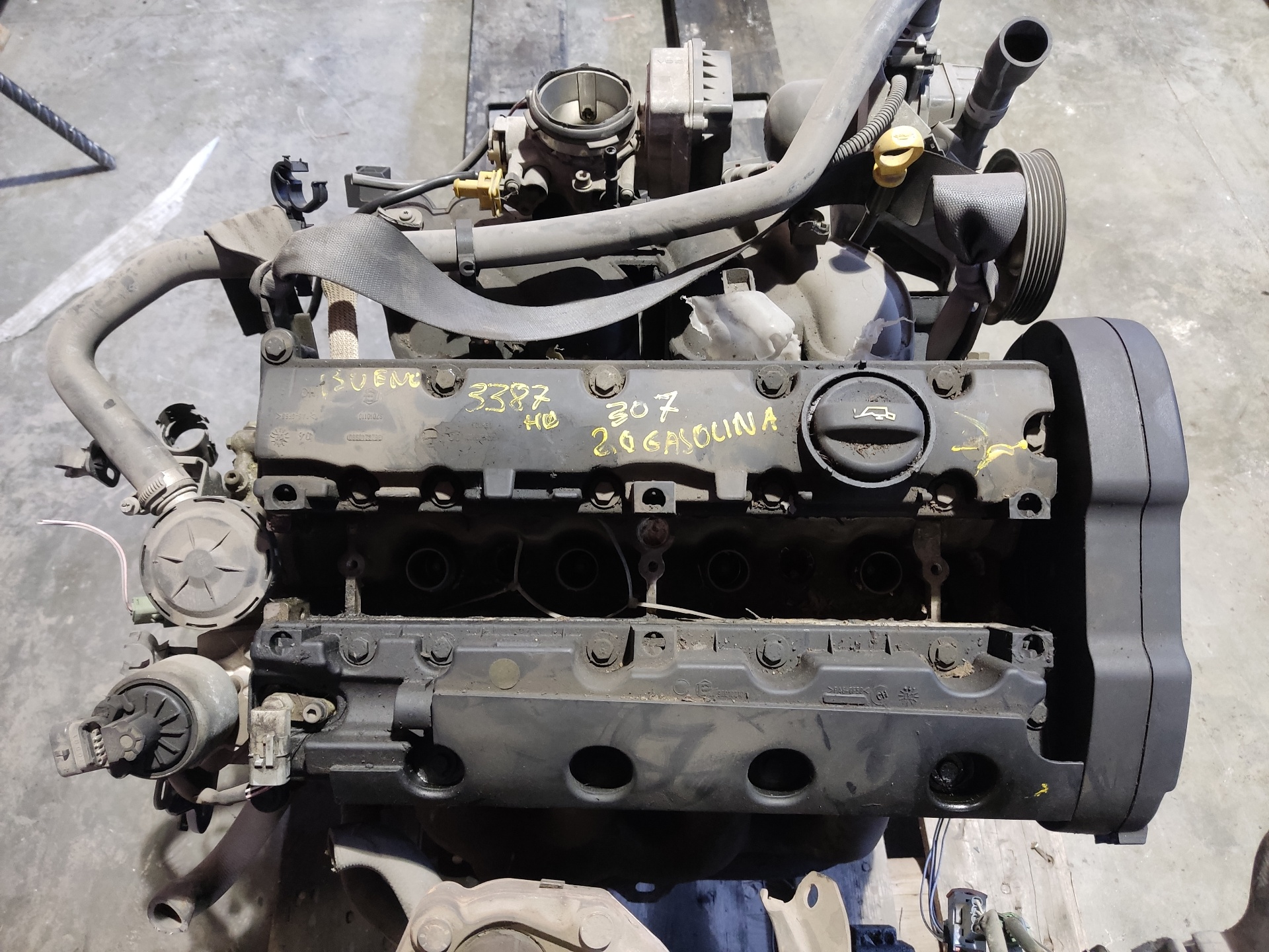 PEUGEOT 307 1 generation (2001-2008) Engine PALET65,FILA3 24891807