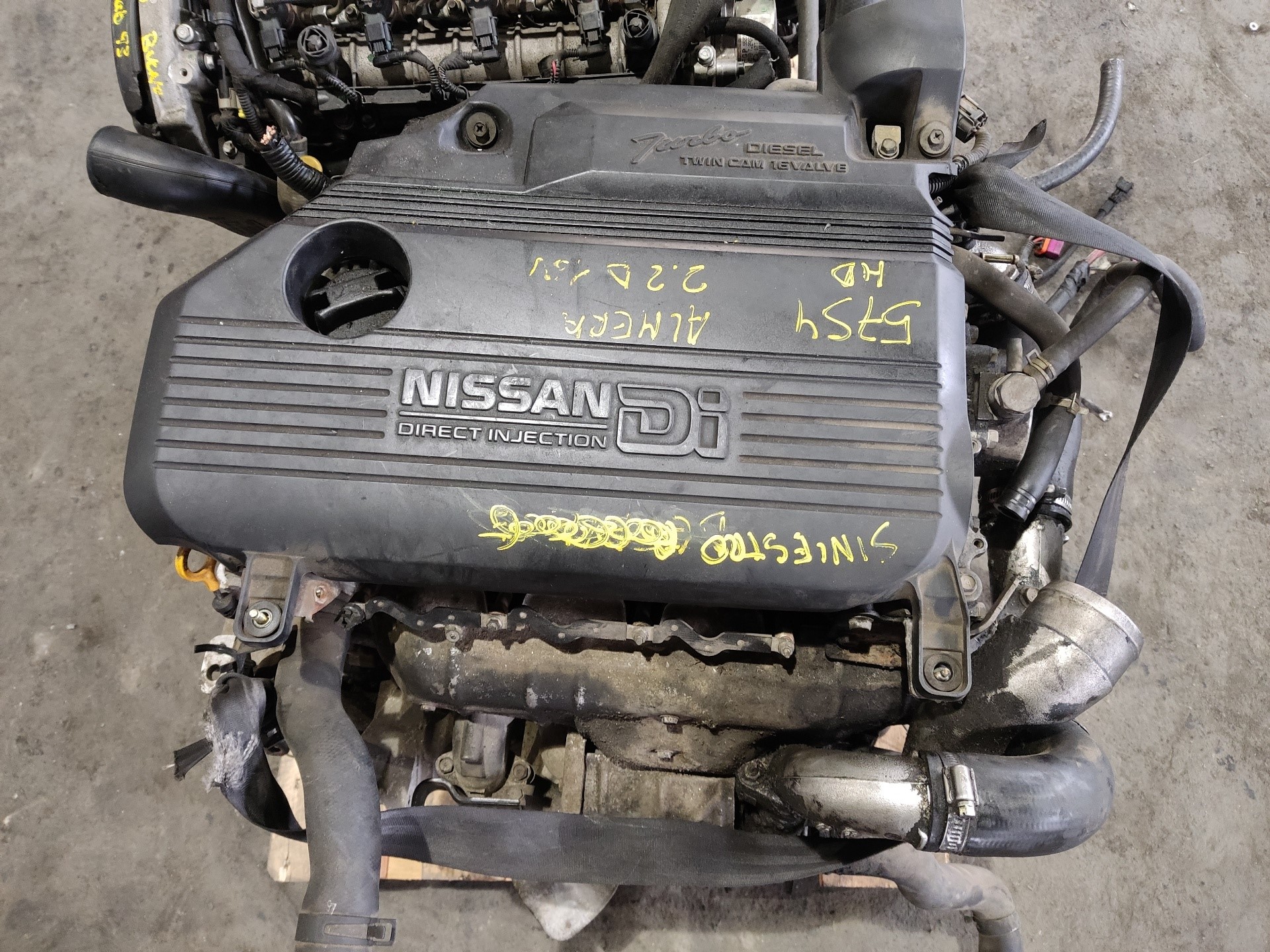 NISSAN Almera N16 (2000-2006) Motor YD22 23718660