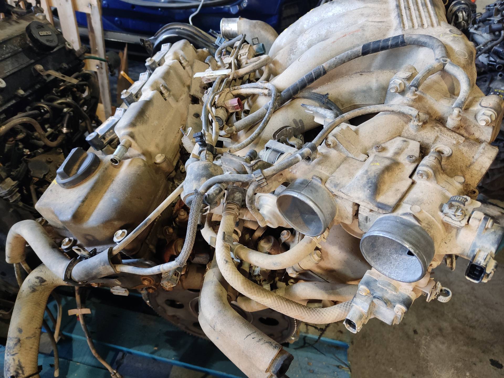 LEXUS RX 1 generation (1997-2003) Engine 1MZFE 23572204