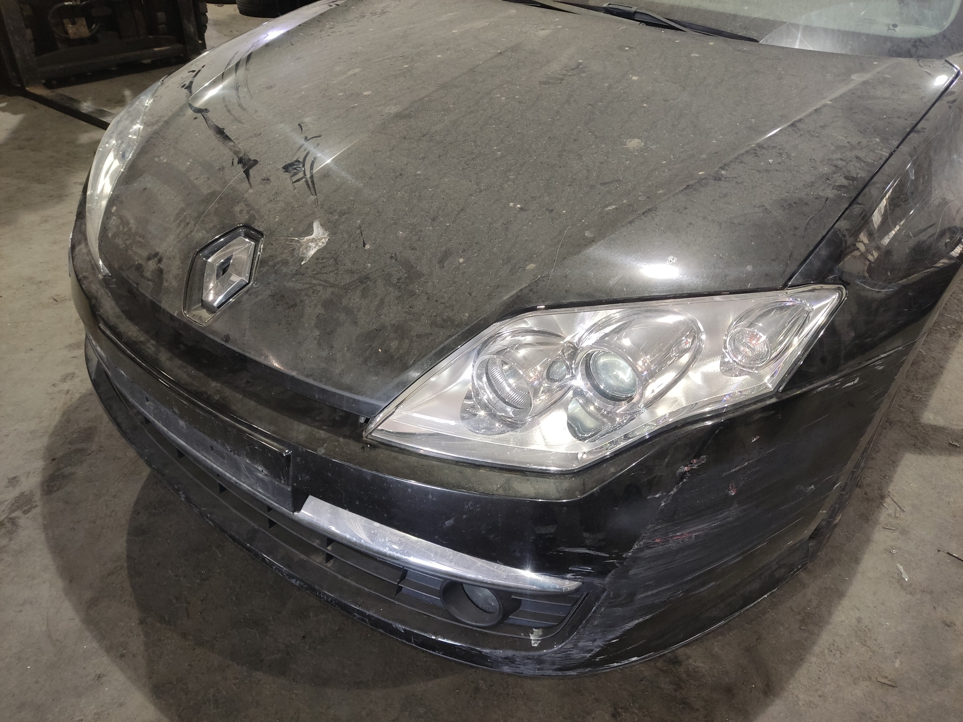 RENAULT Laguna 3 generation (2007-2015) Левая противотуманка переднего бампера 8200074008 24900848