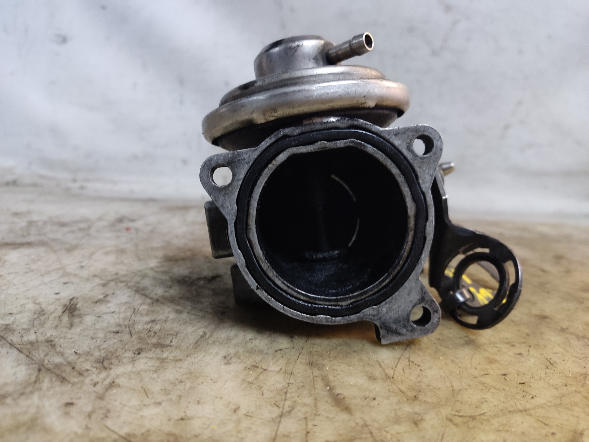 SEAT Leon 1 generation (1999-2005) EGR Valve 038129637 24895236