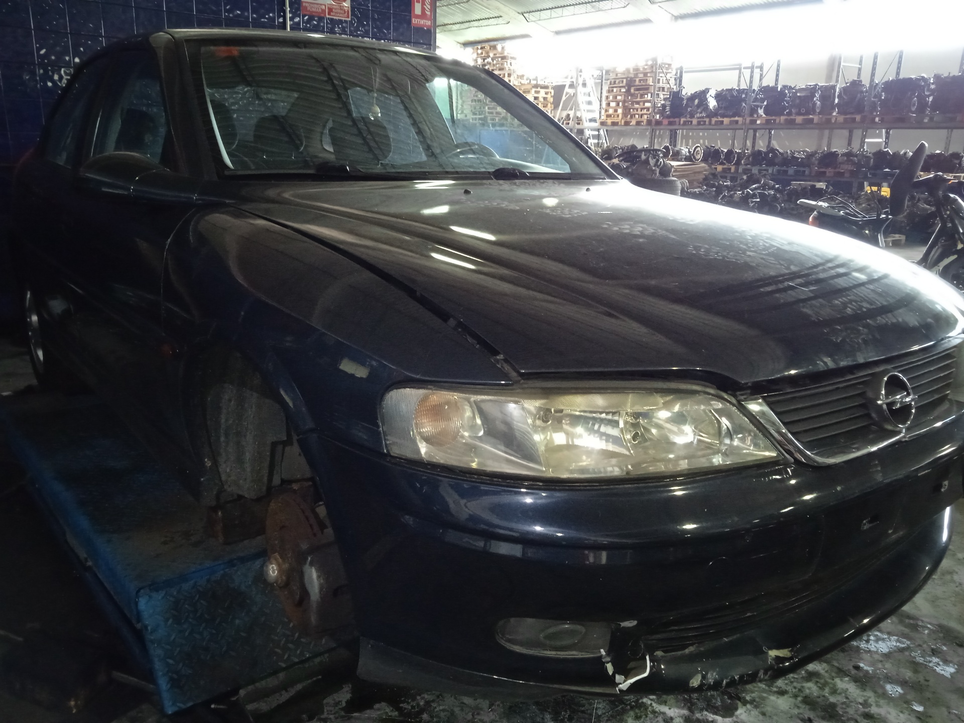 OPEL Vectra B (1995-1999) Зеркало передней правой двери ESTANTERÍA2 24888484