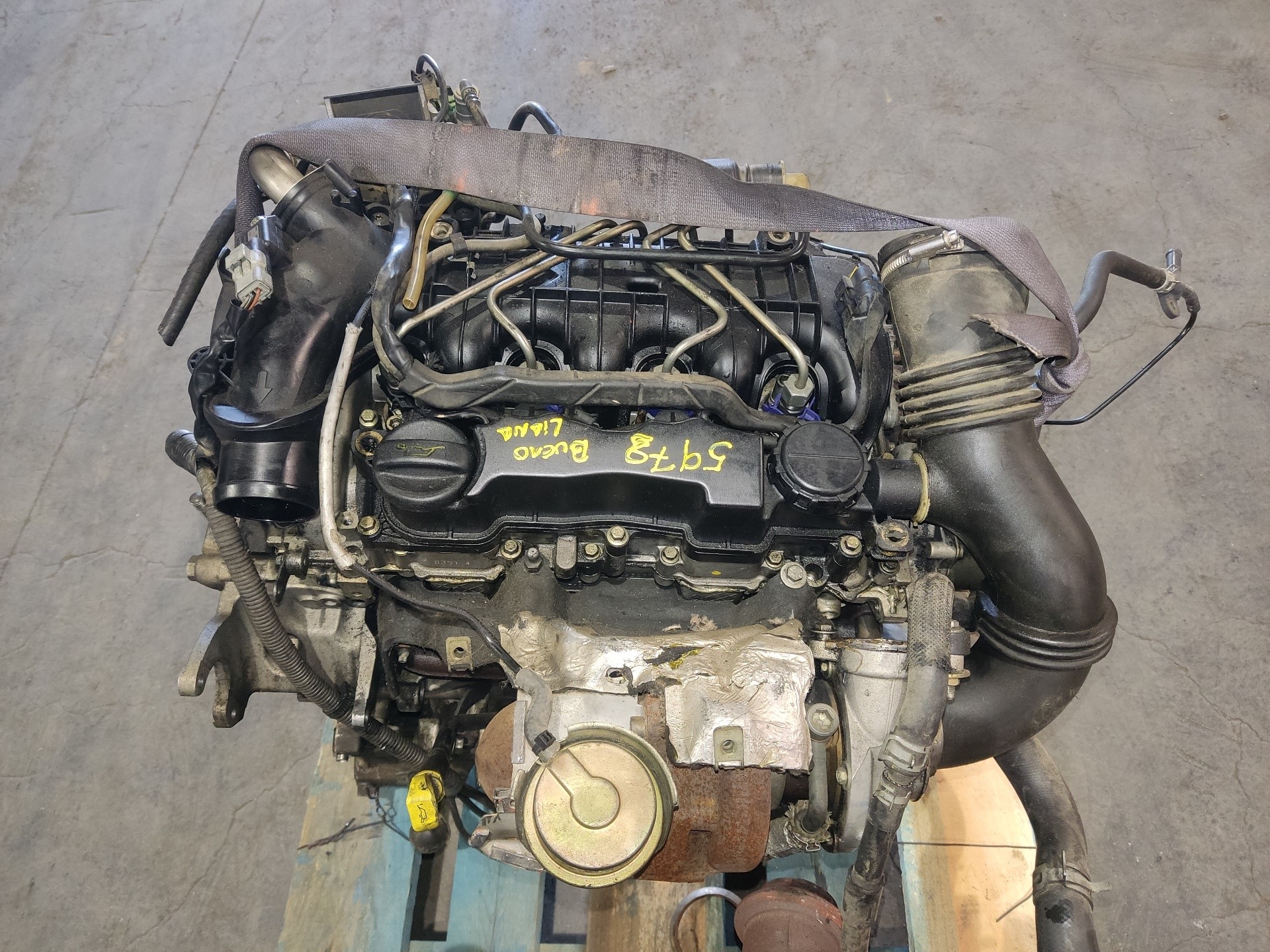 SUZUKI Liana 1 generation (2001-2008) Motor 8HY 25746042