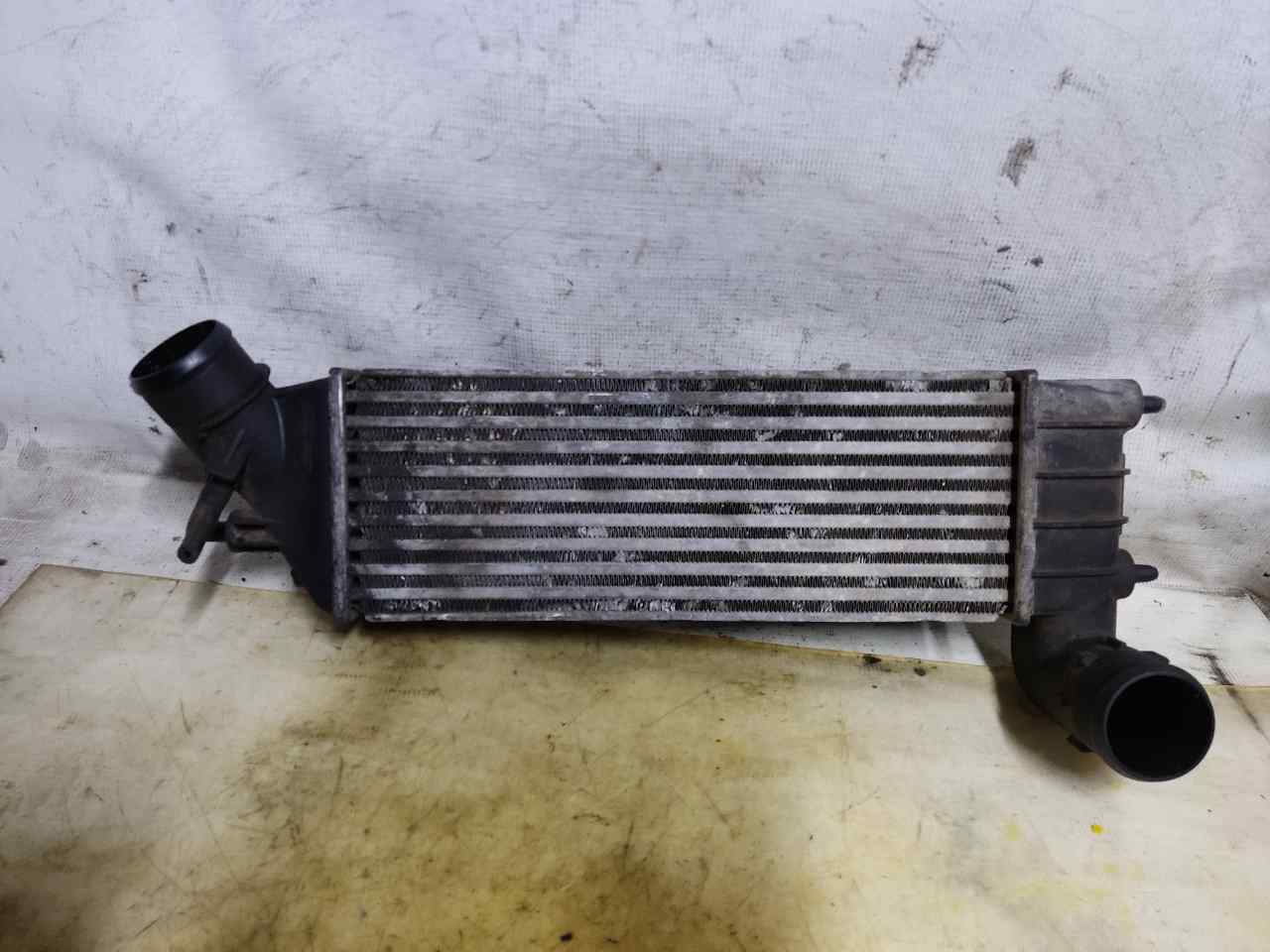 RENAULT Megane 2 generation (2002-2012) Intercooler Radiator 27320895