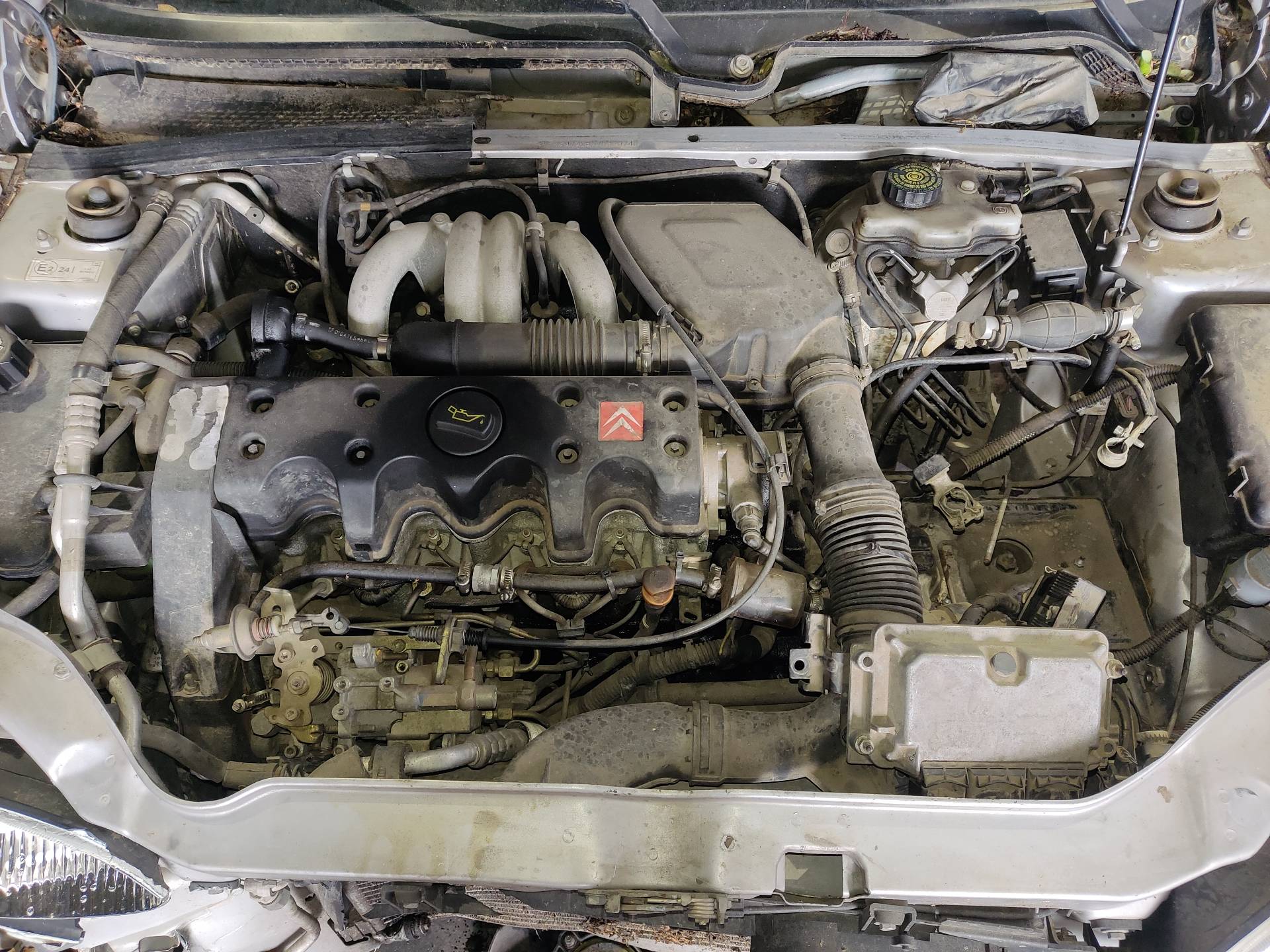 CITROËN Saxo 2 generation (1996-2004) Engine VJX 24895844