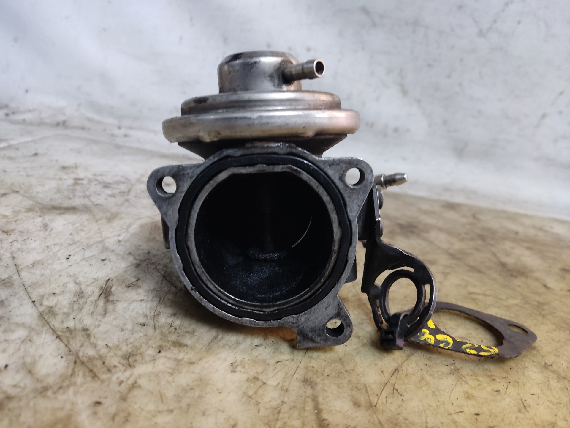 SEAT Leon 1 generation (1999-2005) EGR Valve 038129637 24895236