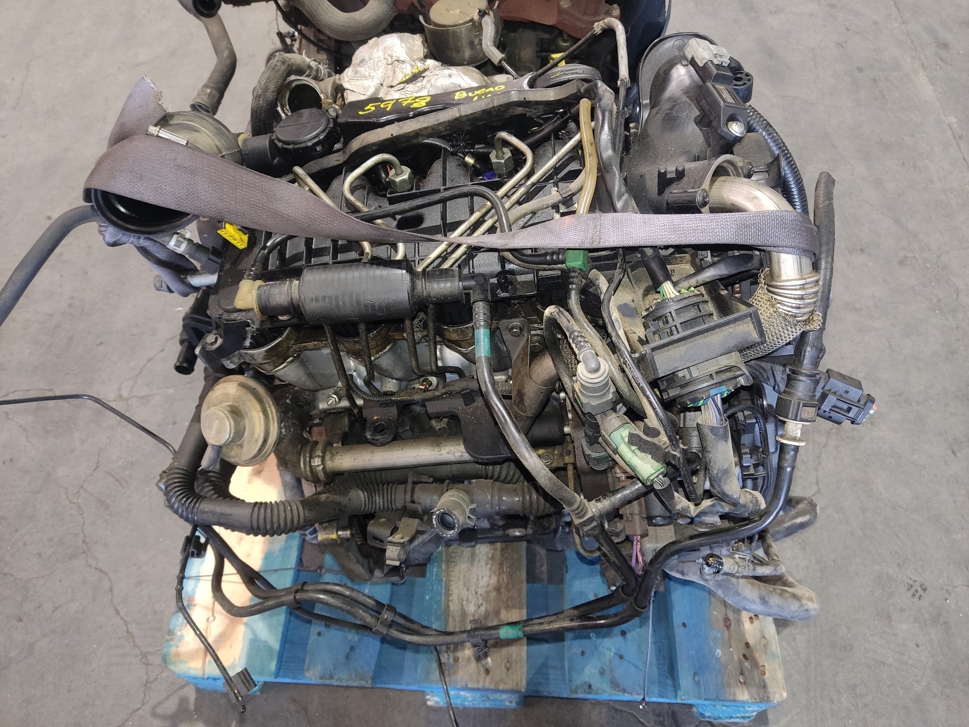 SUZUKI Liana 1 generation (2001-2008) Motor 8HY 25746042