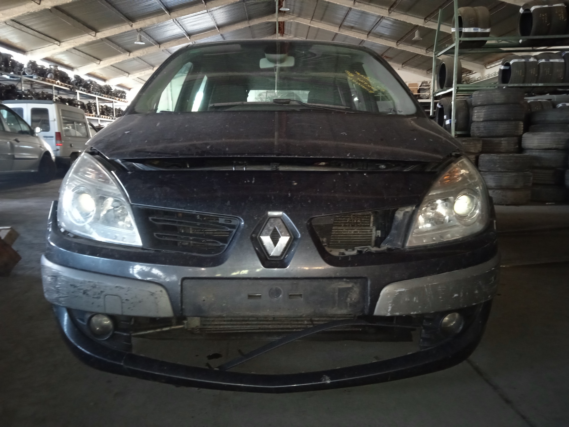 RENAULT Scenic 2 generation (2003-2010) Противотуманка бампера передняя правая 8200074008 24888667