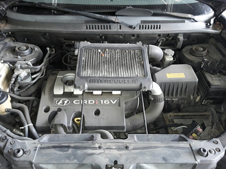 HYUNDAI Santa Fe SM (2000-2013) Engine D4EA 20481776