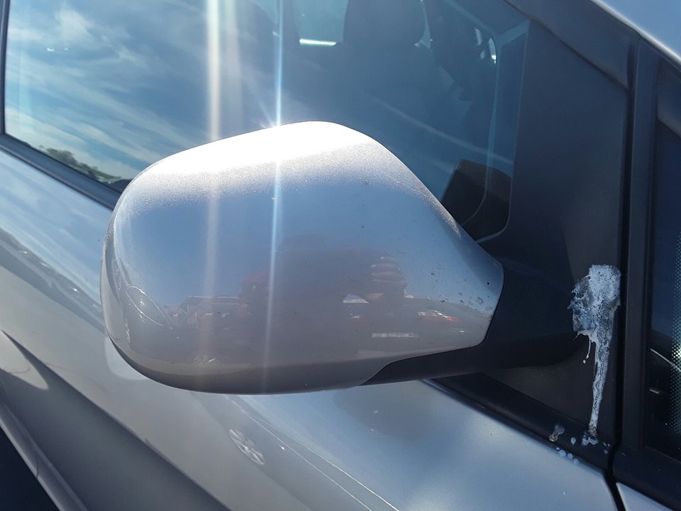 SEAT Toledo 3 generation (2004-2010) Priekinių dešinių durų veidrodis 24552688