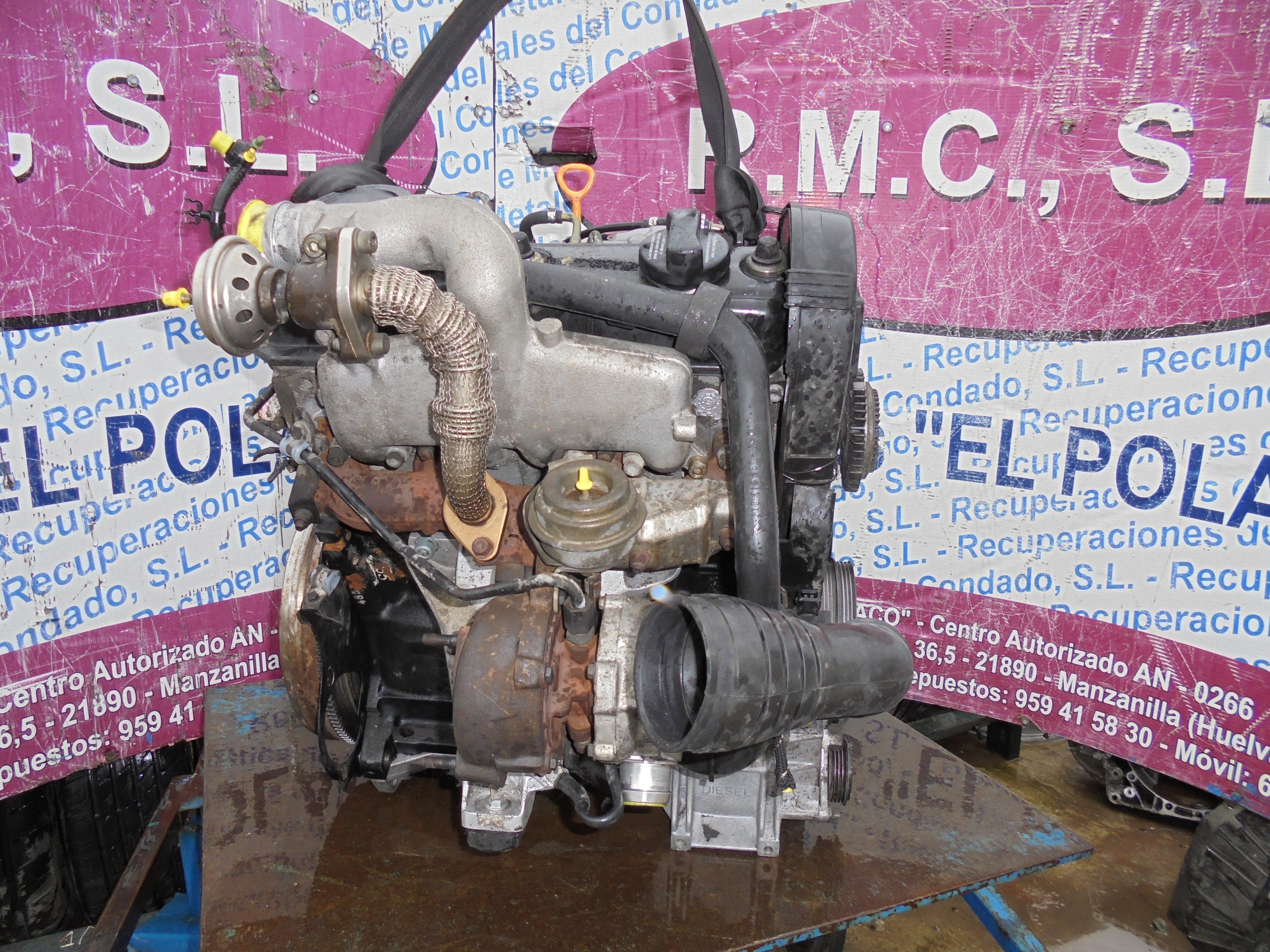 VOLKSWAGEN Passat B5 (1996-2005) Motor 25042555