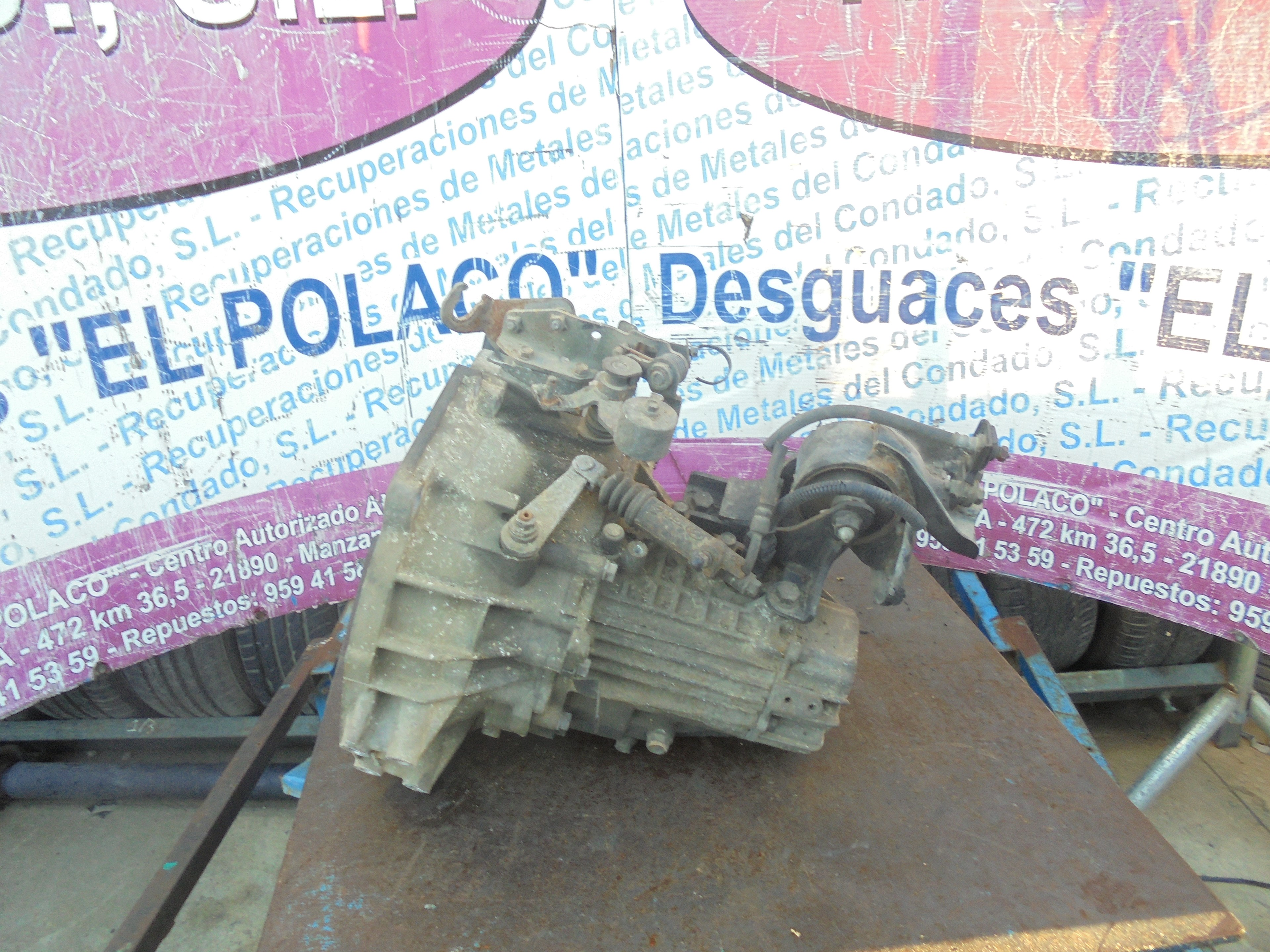 NISSAN Almera N15 (1995-2000) Gearbox J51873 22260224