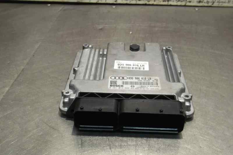 AUDI A4 B7/8E (2004-2008) Motorstyrenhet ECU 03G906016LR 25035904