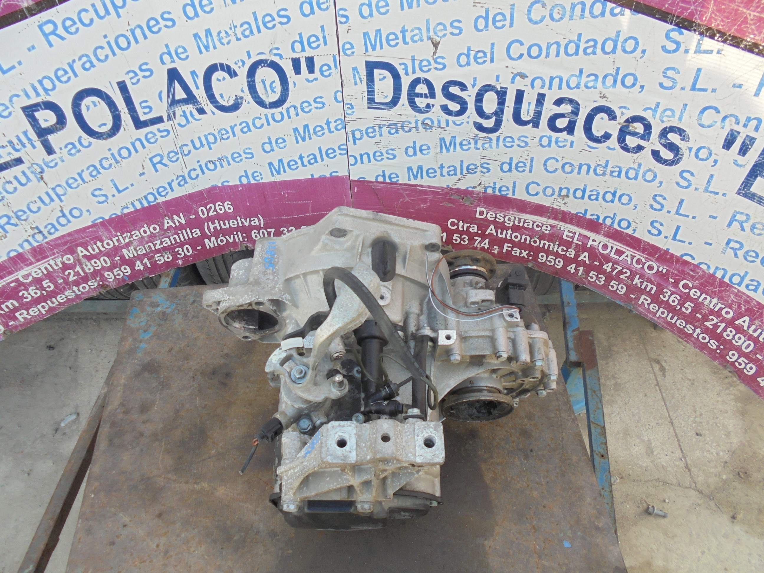 SEAT Leon 1 generation (1999-2005) Gearbox EGS 22260263