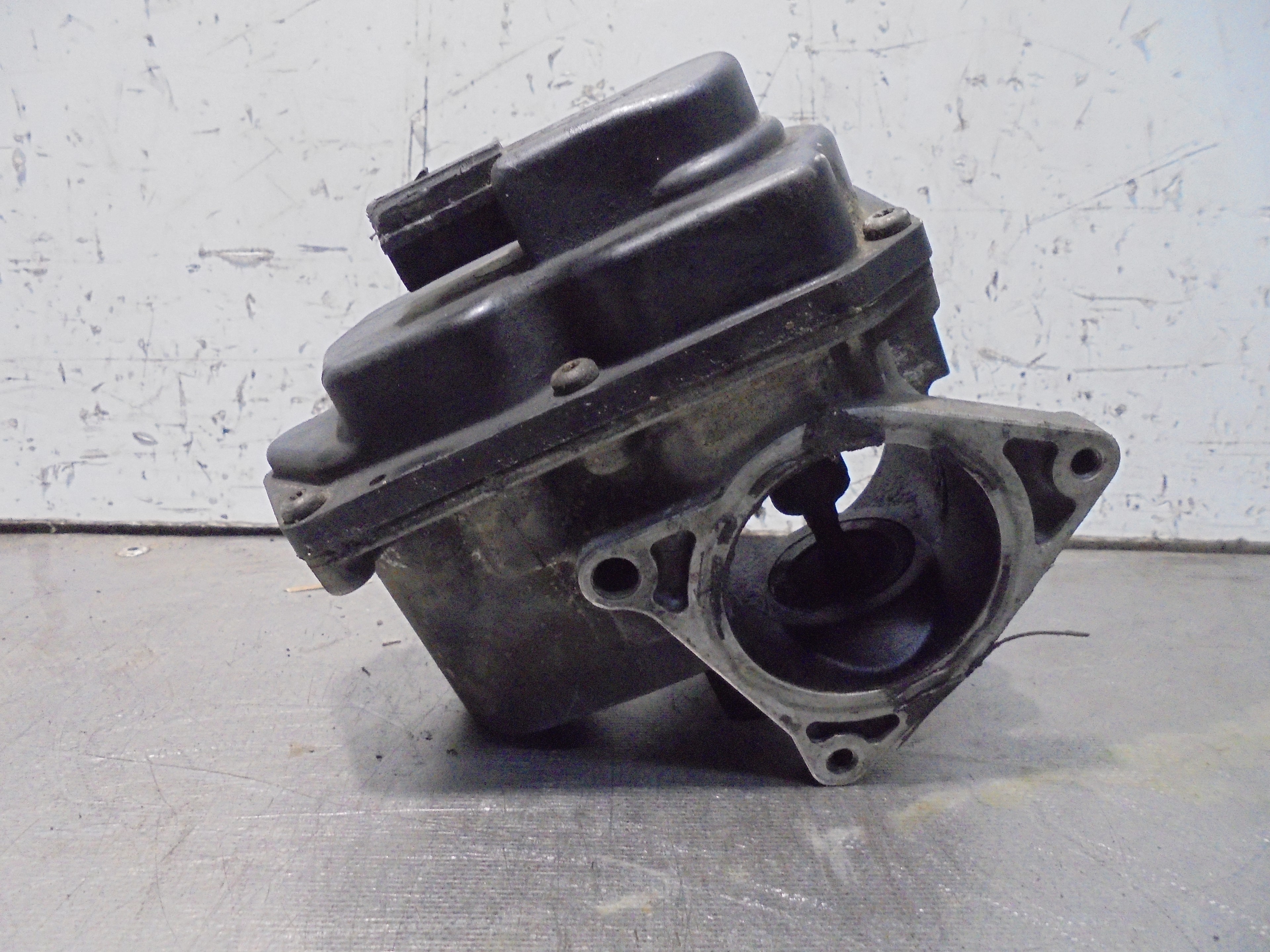 VOLKSWAGEN Passat B6 (2005-2010) EGR клапан 03G131501 25058953