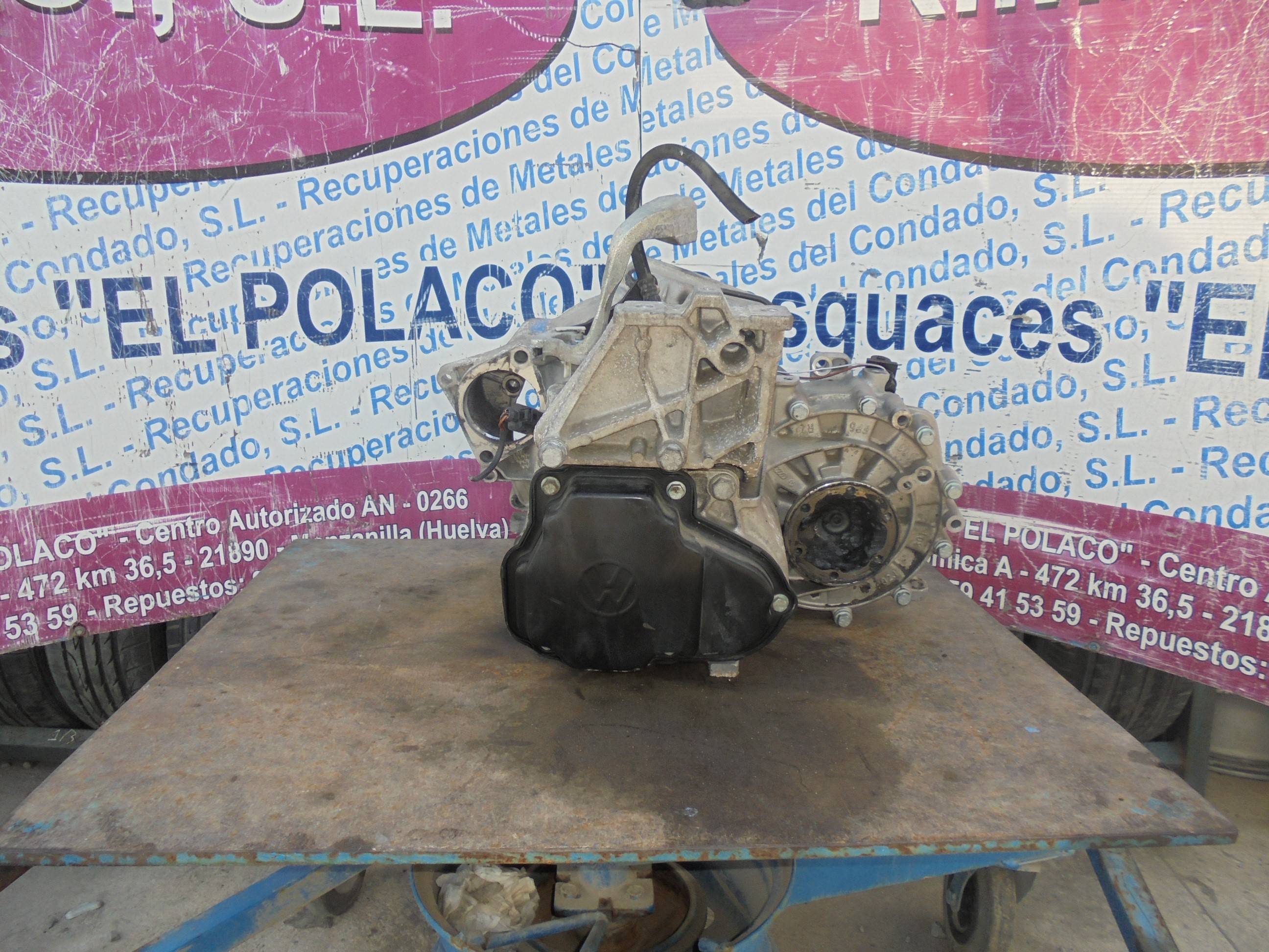 SEAT Leon 1 generation (1999-2005) Gearbox EGS 22260263