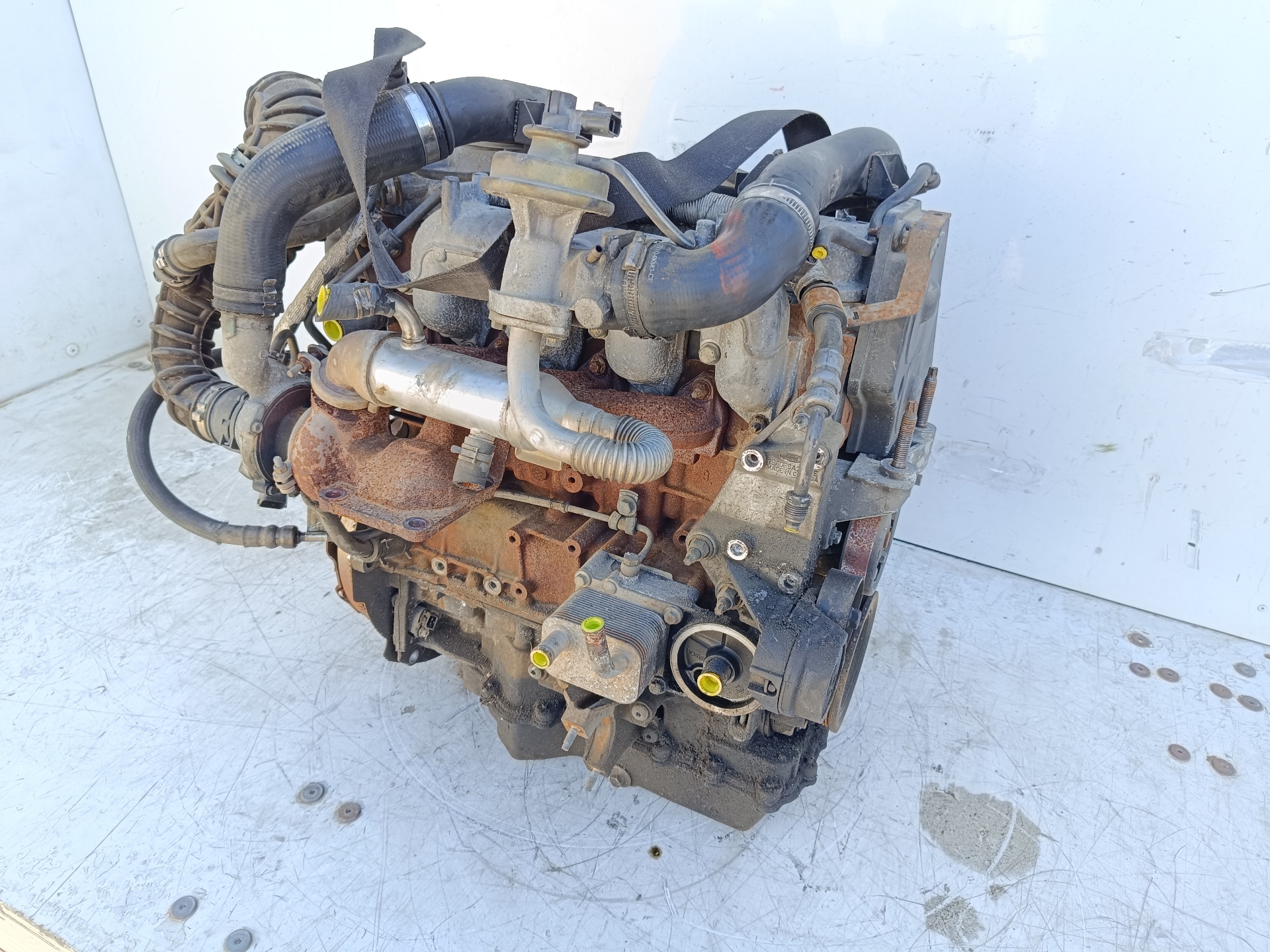 FORD Tourneo Connect 1 generation (2002-2013) Engine BHPA 25346667