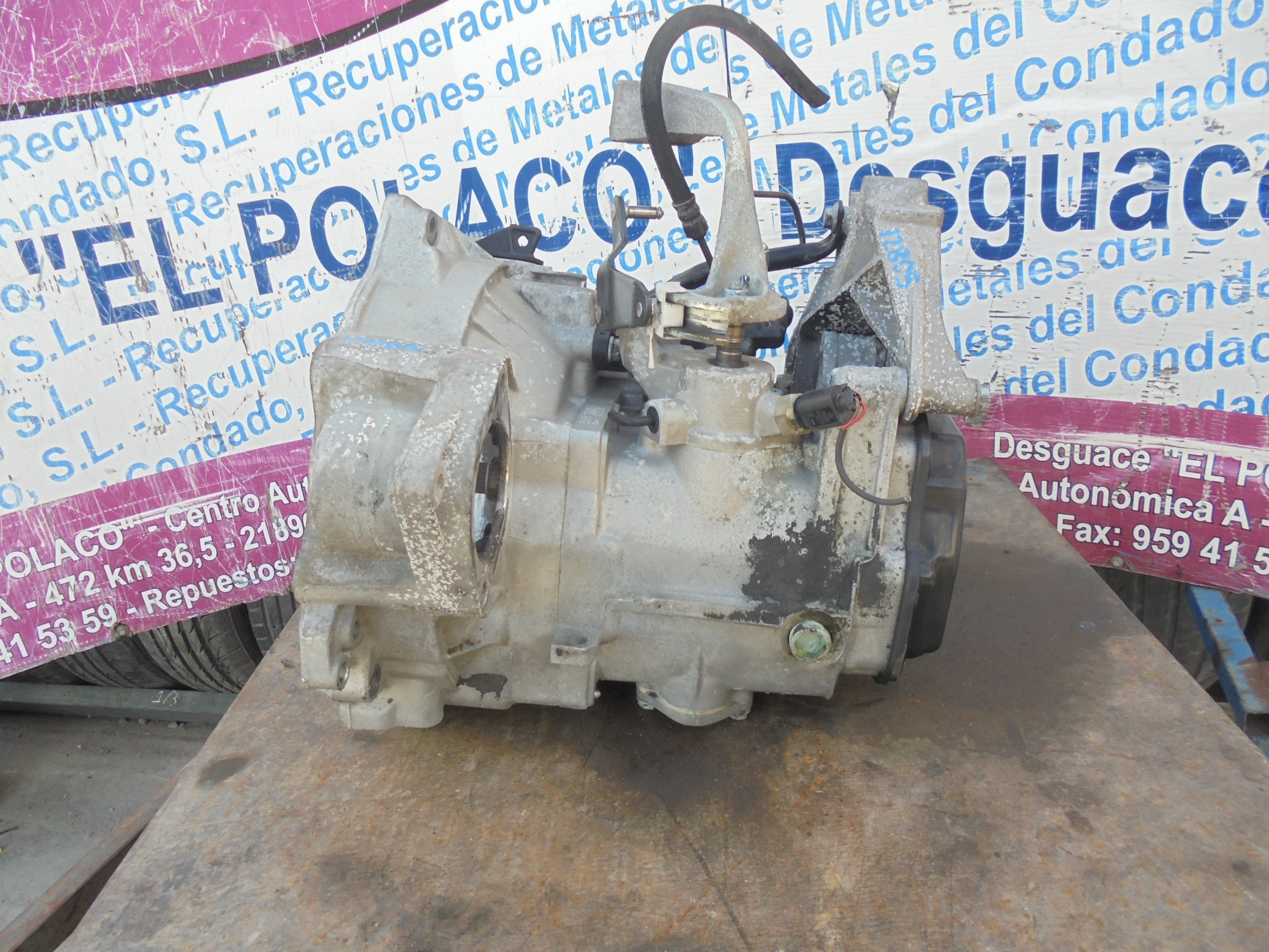 SEAT Leon 1 generation (1999-2005) Gearbox EGS 22260263