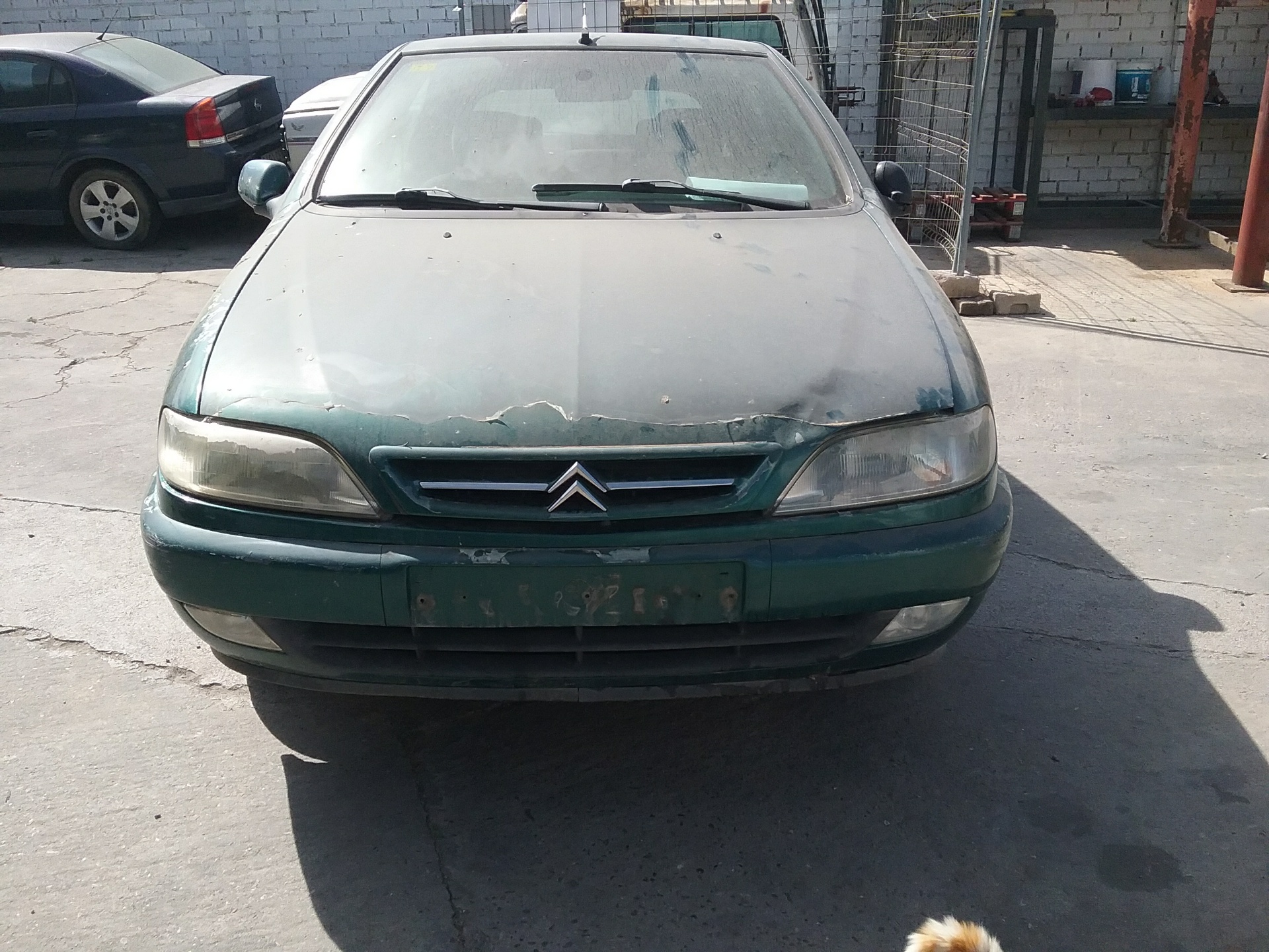 CITROËN Xsara 1 generation (1997-2004) Насос гидроусилителя 9631923580 25072183