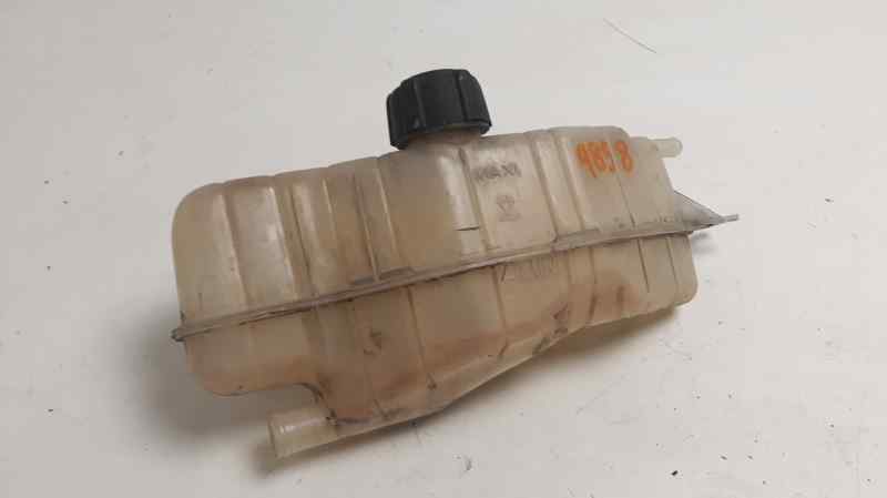 RENAULT Clio 3 generation (2005-2012) Išsiplėtimo bakelis 7701477290 18652361