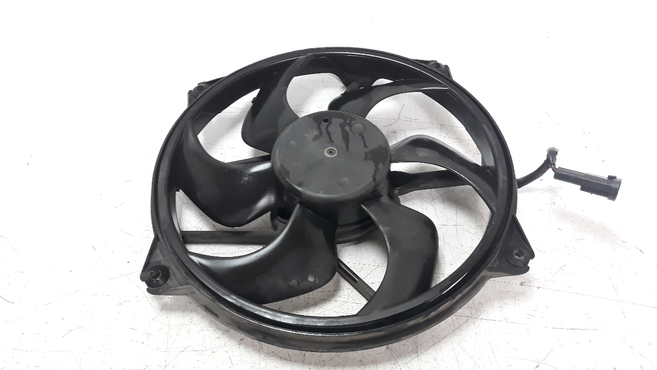 PEUGEOT 307 1 generation (2001-2008) Difūzoriaus ventiliatorius 1253A9, 47665 24533716