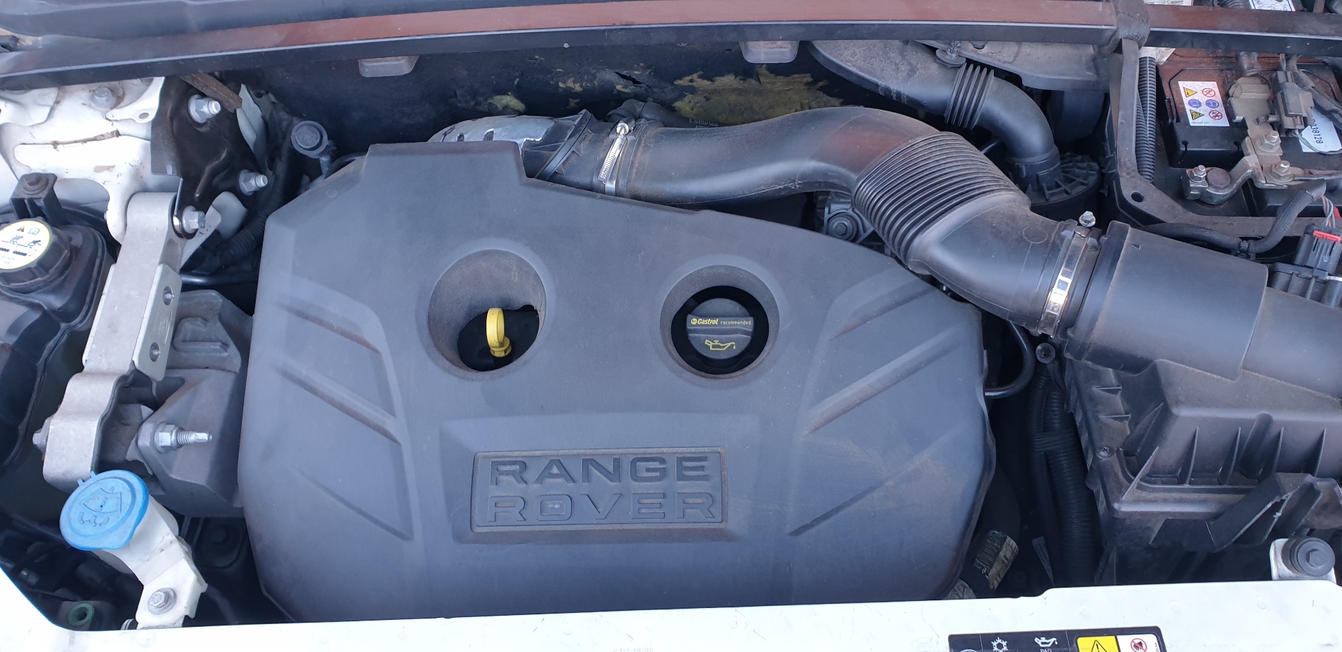 LAND ROVER Range Rover Evoque L538 (1 gen) (2011-2020) Variklis 204PT 18779761