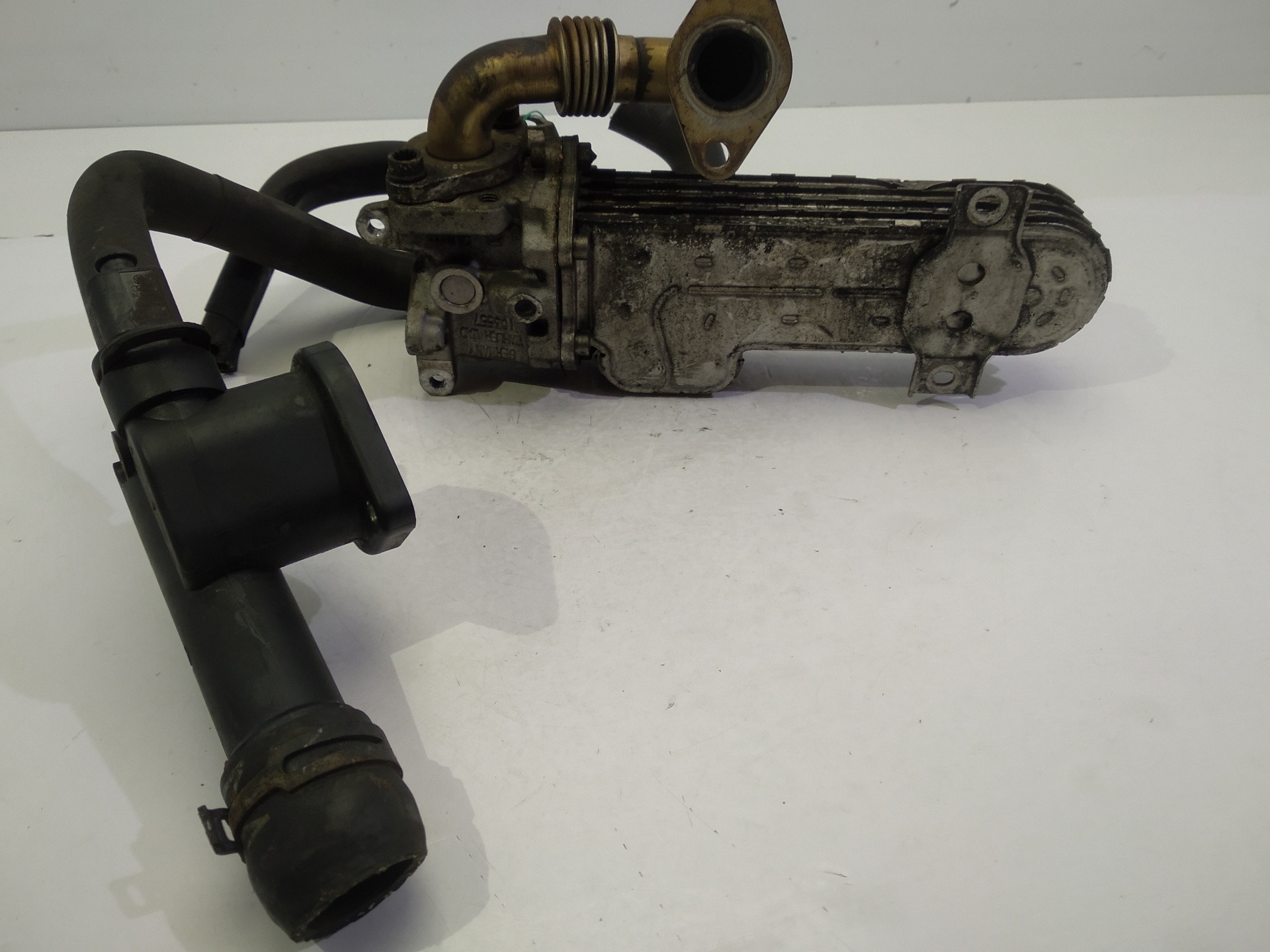 VOLKSWAGEN Passat B6 (2005-2010) EGR hűtő 03G131513J 25300509