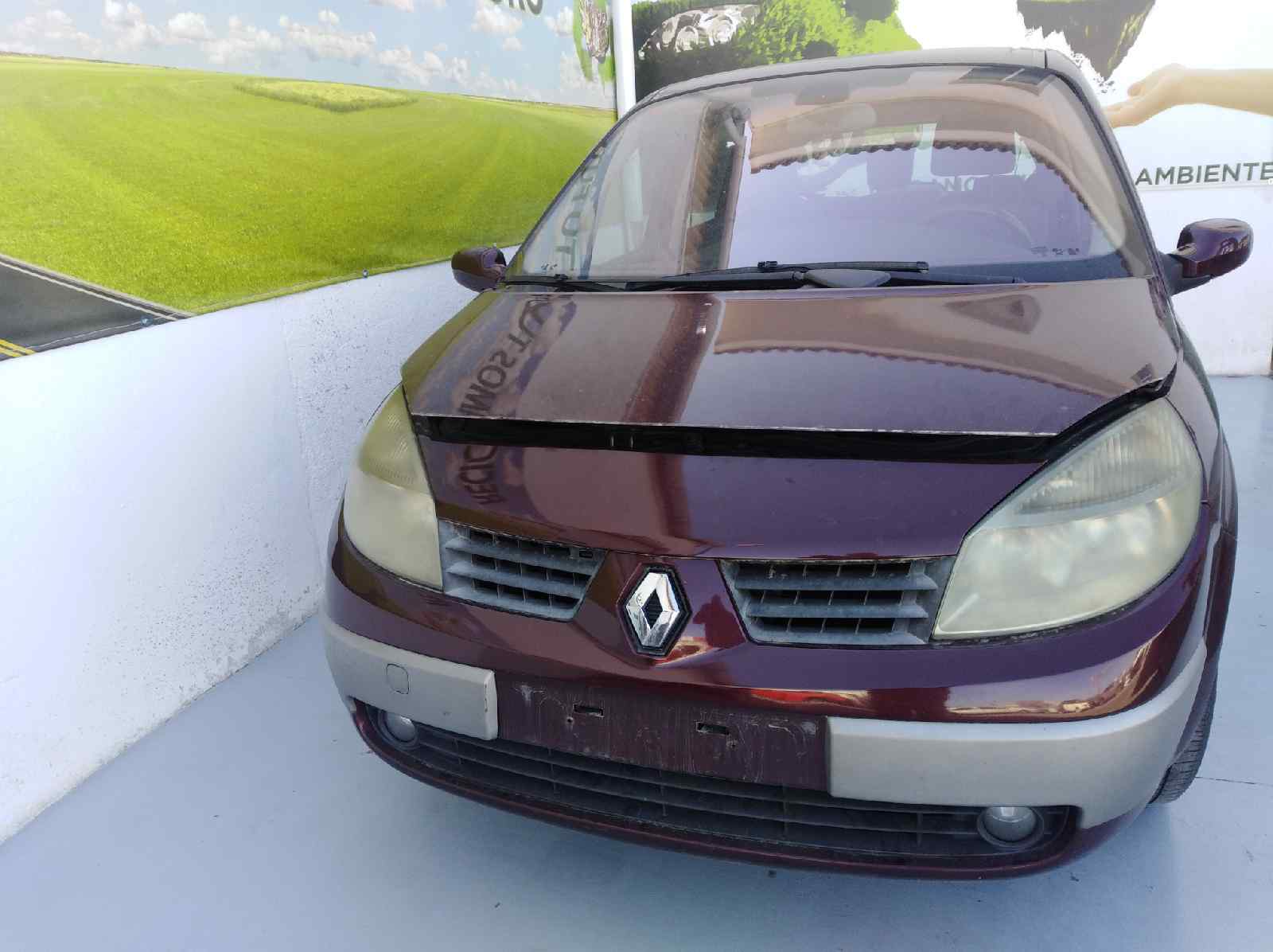 RENAULT Scenic 2 generation (2003-2010) Стеклоподъемник передней правой двери 440726F 25289277