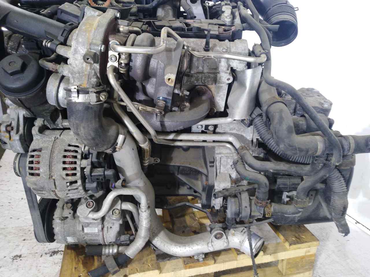 VOLKSWAGEN Golf 5 generation (2003-2009) Motor BLG 25304570