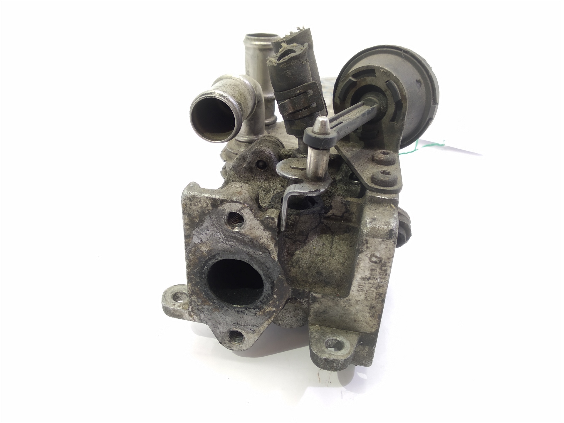 VOLKSWAGEN Passat B6 (2005-2010) EGR hűtő 03G131513J, 03G131513J, 03G131513J 24514832