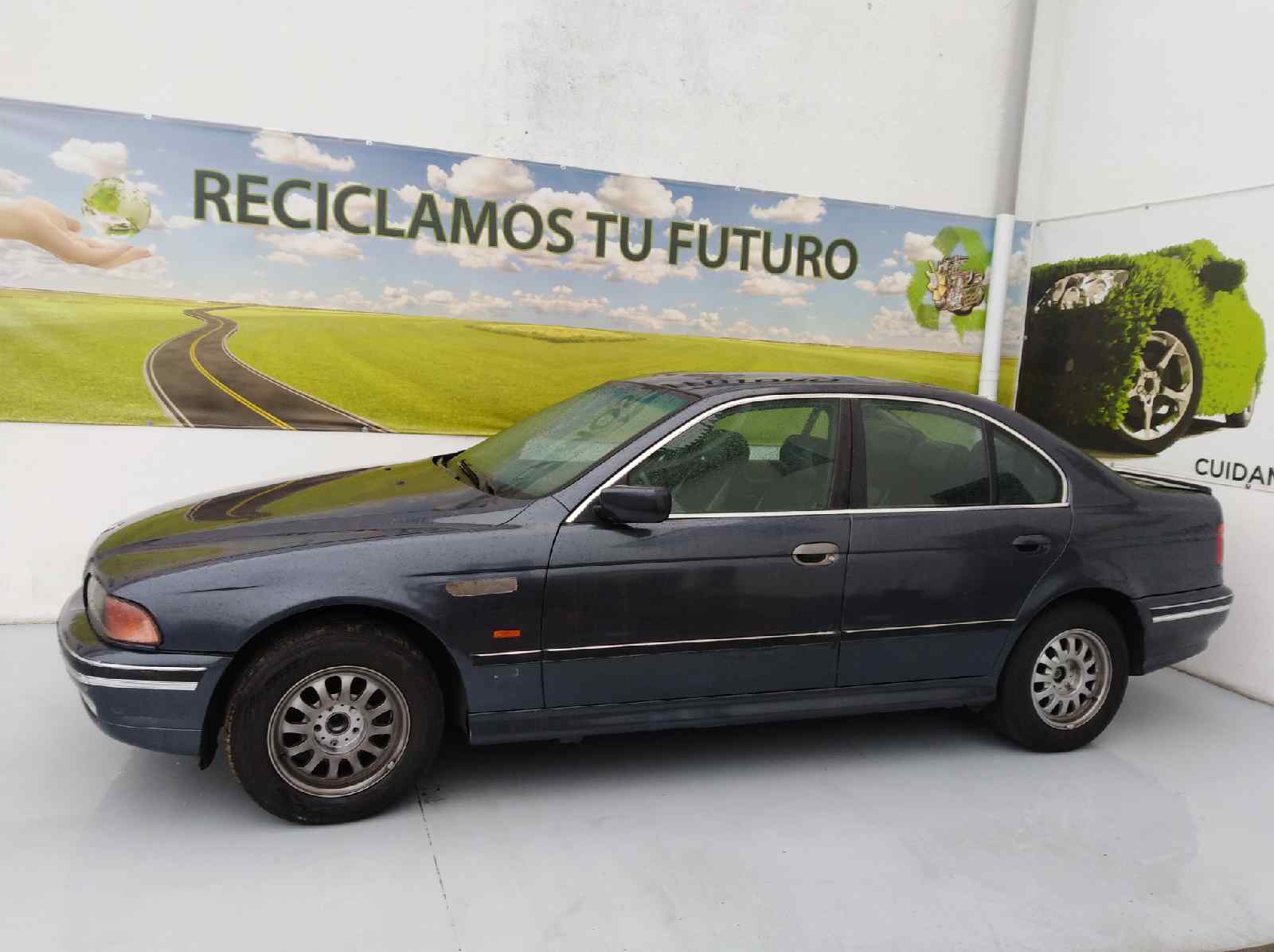 BMW 5 Series E39 (1995-2004) Зеркало передней левой двери 5CABLES, 5CABLES, 5CABLES 19282141
