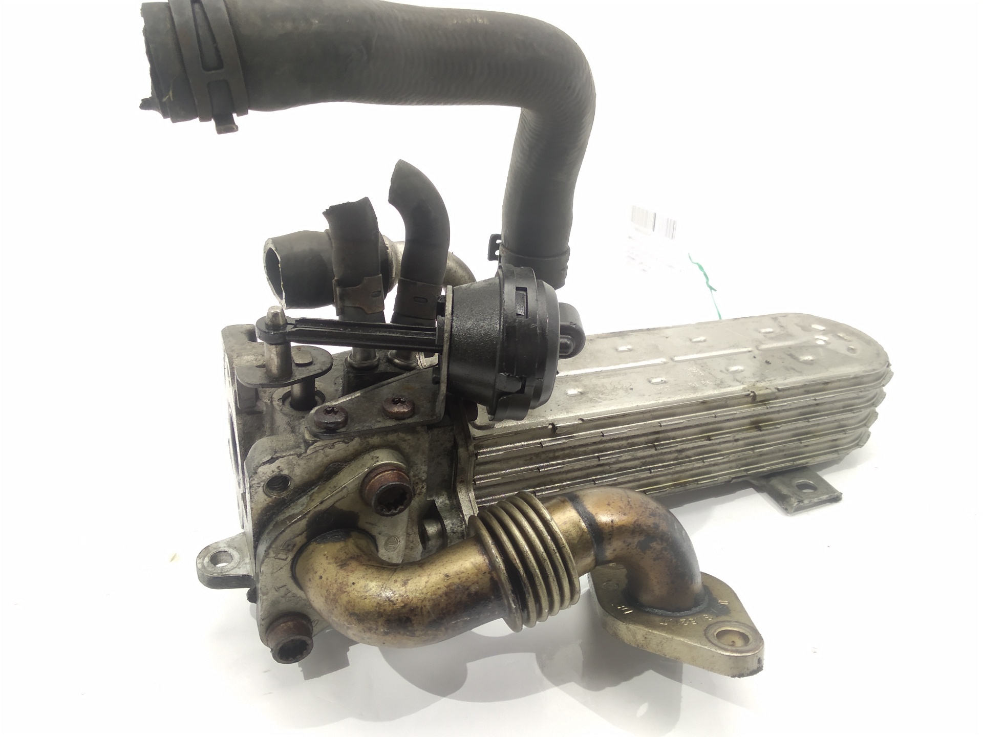 VOLKSWAGEN Passat B6 (2005-2010) EGR hűtő 03G131513J, 03G131513J, 03G131513J 24512983