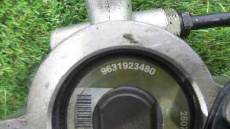 CITROËN Xsara 1 generation (1997-2004) Servostyringspumpe 9631923480 18886305