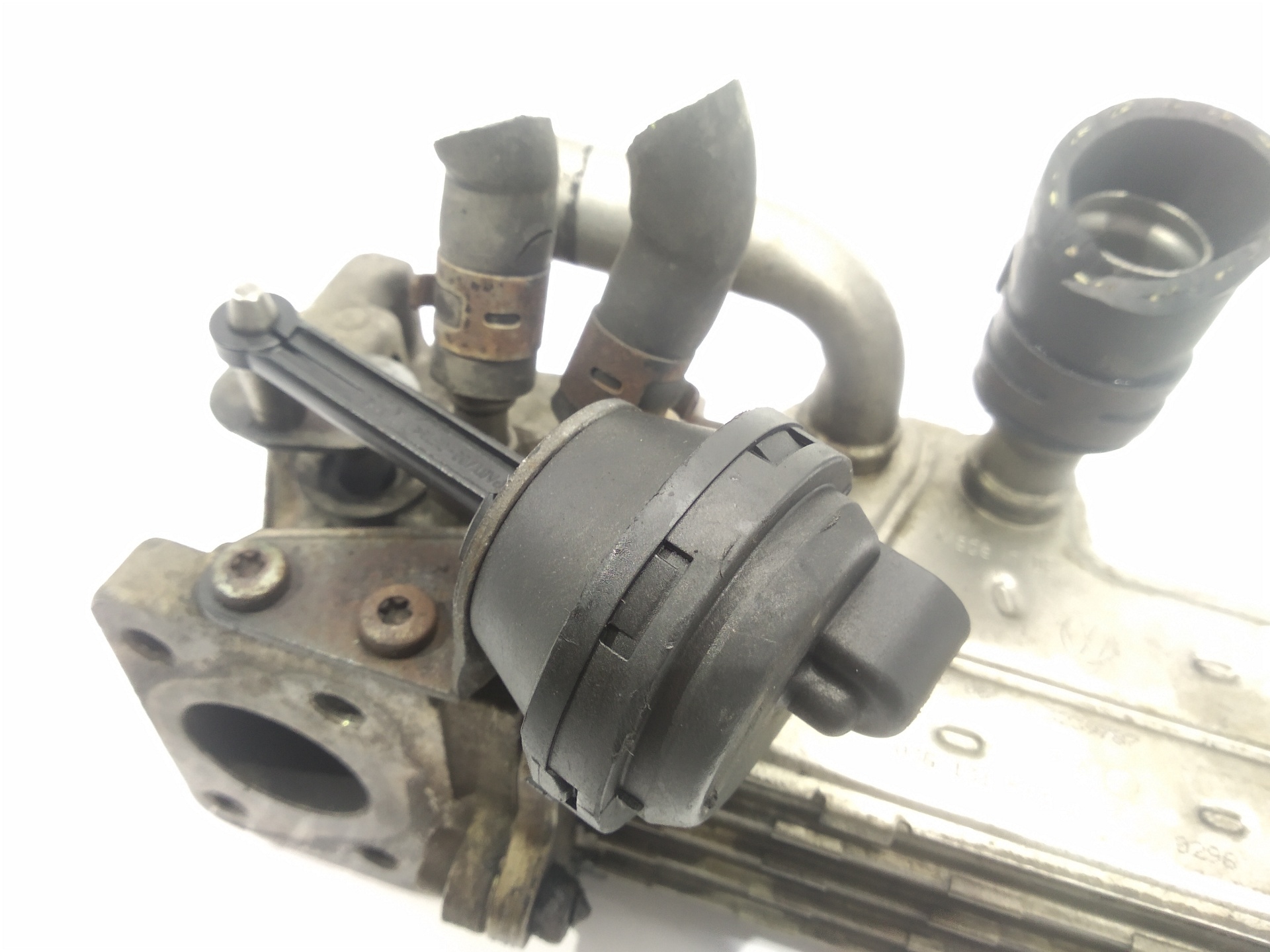 VOLKSWAGEN Passat B6 (2005-2010) EGR hűtő 03G131513J, 03G131513J, 03G131513J 24513318