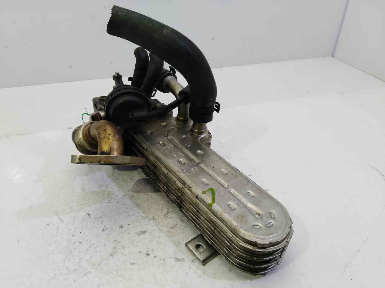 VOLKSWAGEN Passat B6 (2005-2010) EGR Cooler 03G131513J 25304401