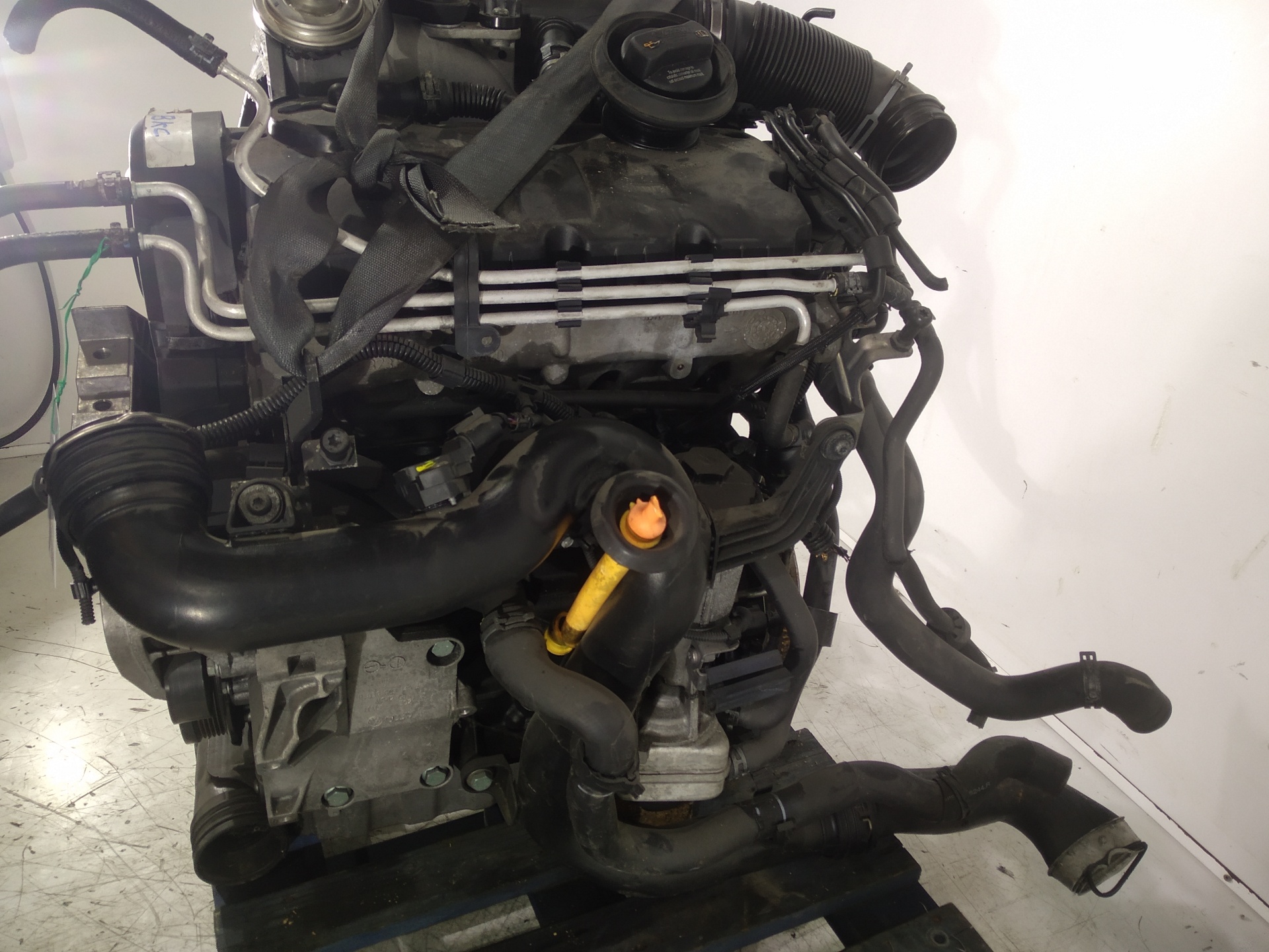 AUDI A3 8P (2003-2013) Motor BKC, BKC, BKC 24513714