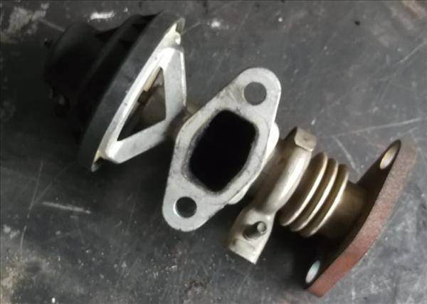 SEAT Ibiza 3 generation (2002-2008) EGR vožtuvas 038131501C,72247702 21110443