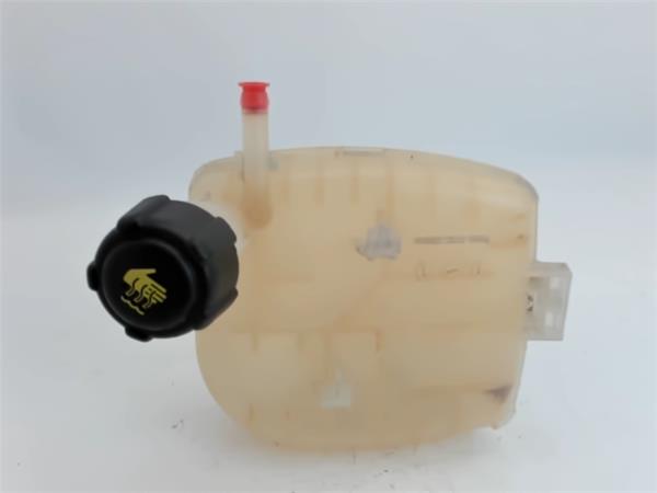 RENAULT Twingo 2 generation (2007-2014) Expansion Tank 8200369313 20704149