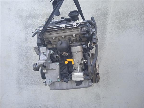 SEAT Ibiza 3 generation (2002-2008) Двигатель ATD 21706056