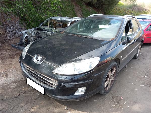 PEUGEOT 407 1 generation (2004-2010) Citau veidu vadības bloki 9647083480, 0973130990105 21119962