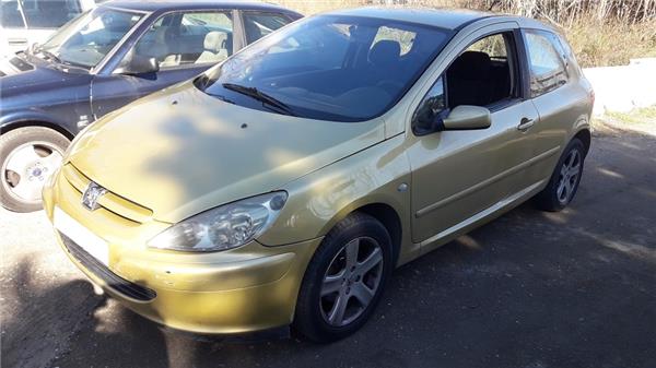 PEUGEOT 307 1 generation (2001-2008) Priekinių kairių durų stiklo pakelėjas 9637131280 24699991