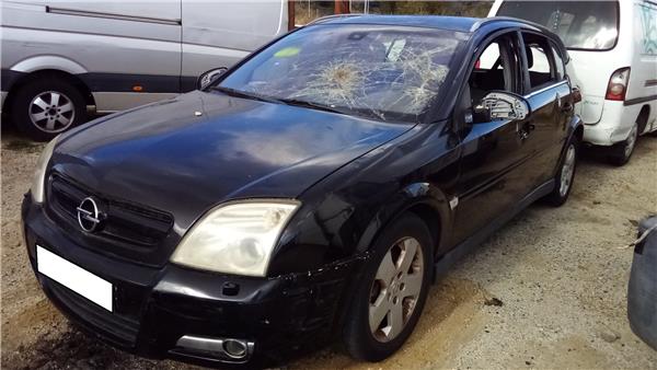 OPEL Signum C (2003-2008) Citau veidu vadības bloki 8972586910, 1310001270 20773948